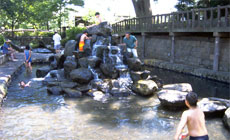 整備後の古川親水公園