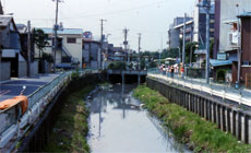 昭和40年代の小松川境川親水公園